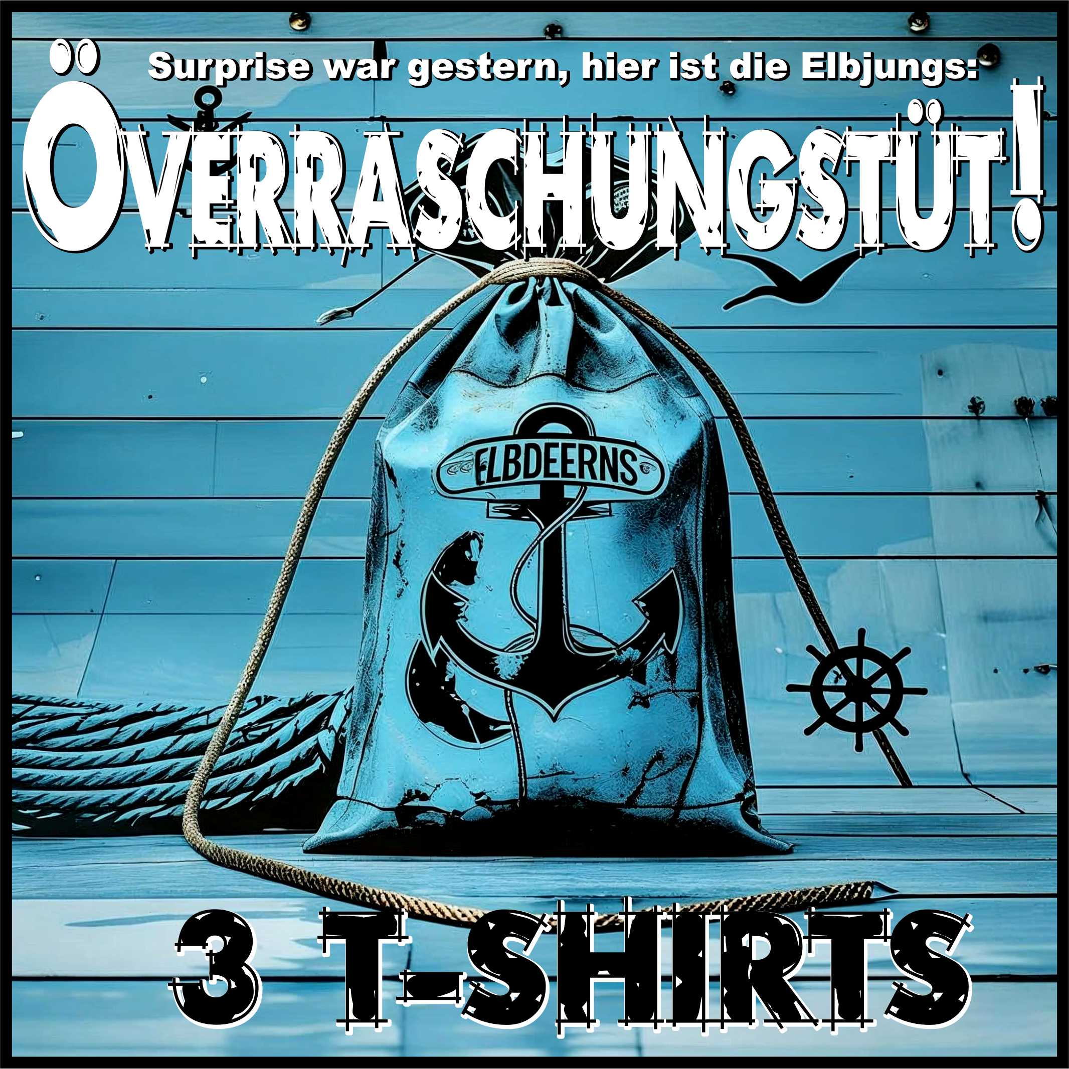 Elbdeerns Überraschungstüte – Damenshirts