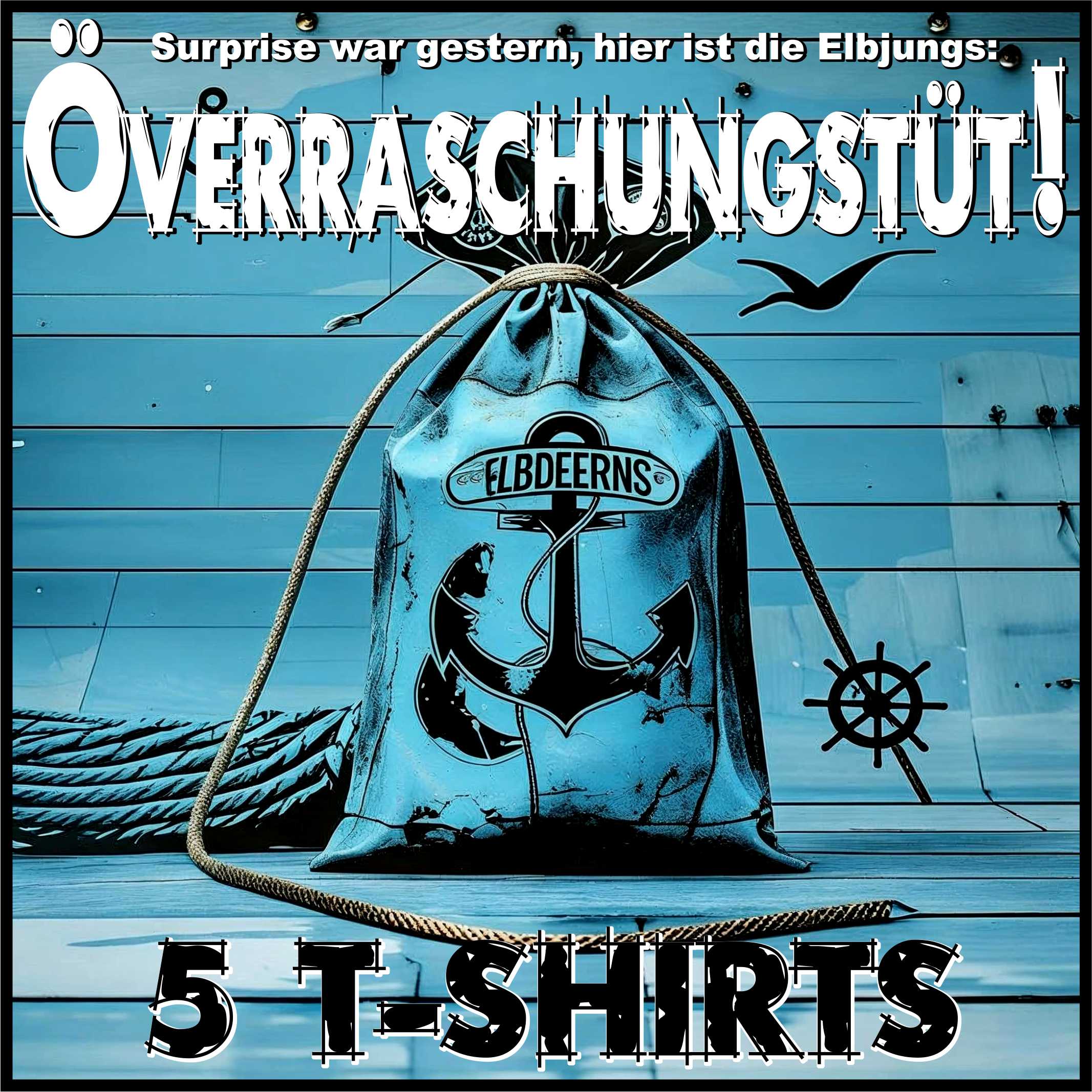 Elbdeerns Überraschungstüte – Damenshirts